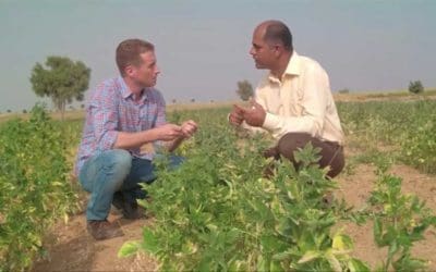 The story of Sunfiber: from family farm to global digestive health