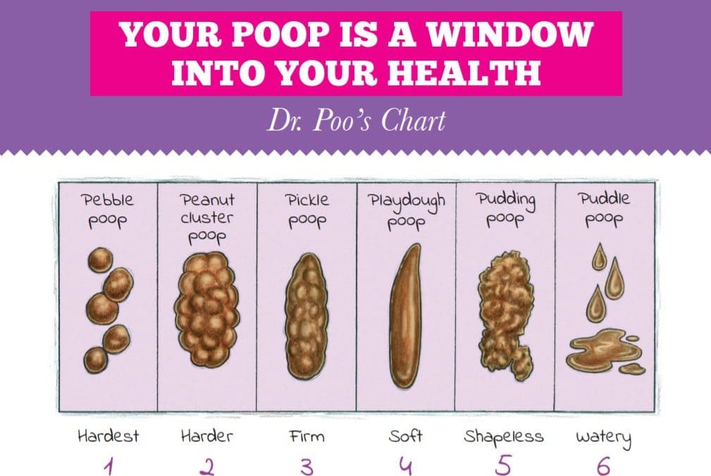 Dr.-Poo-Chart
